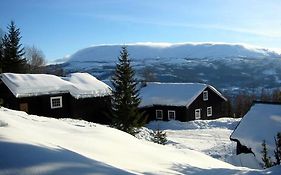 Hjartdal Fjellstoge&Storhytte